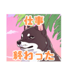黒柴くんの毎日使える！日常スタンプ（個別スタンプ：11）