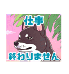 黒柴くんの毎日使える！日常スタンプ（個別スタンプ：12）