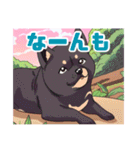 黒柴くんの毎日使える！日常スタンプ（個別スタンプ：13）