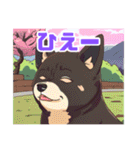 黒柴くんの毎日使える！日常スタンプ（個別スタンプ：14）
