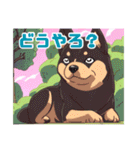 黒柴くんの毎日使える！日常スタンプ（個別スタンプ：17）