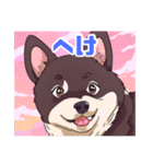 黒柴くんの毎日使える！日常スタンプ（個別スタンプ：19）