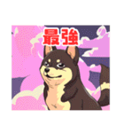 黒柴くんの毎日使える！日常スタンプ（個別スタンプ：27）