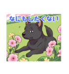 黒柴くんの毎日使える！日常スタンプ（個別スタンプ：30）