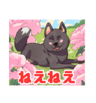 黒柴くんの毎日使える！日常スタンプ（個別スタンプ：31）