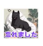 黒柴くんの毎日使える！日常スタンプ（個別スタンプ：33）