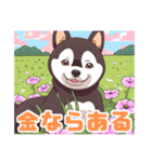 黒柴くんの毎日使える！日常スタンプ（個別スタンプ：34）