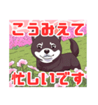 黒柴くんの毎日使える！日常スタンプ（個別スタンプ：37）