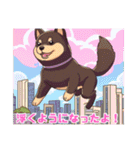 黒柴くんの毎日使える！日常スタンプ（個別スタンプ：38）