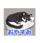 黒柴くんの毎日使える！日常スタンプ（個別スタンプ：39）