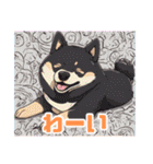 黒柴くんの毎日使える！日常スタンプ（個別スタンプ：40）