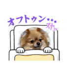 可愛いwanwanスタンプ（個別スタンプ：4）