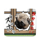 可愛いwanwanスタンプ（個別スタンプ：8）
