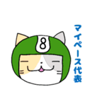 ヘルメットねこ（個別スタンプ：23）