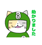 ヘルメットねこ（個別スタンプ：24）