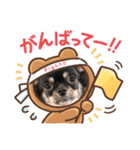 チワワのこたろうくん☆2（個別スタンプ：13）