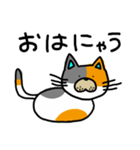 ゆるねこ～日常編～（個別スタンプ：1）