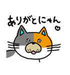 ゆるねこ～日常編～（個別スタンプ：13）