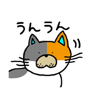 ゆるねこ～日常編～（個別スタンプ：14）