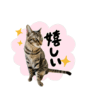 ロイルとニコル（個別スタンプ：32）