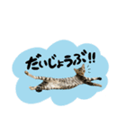 ロイルとニコル（個別スタンプ：35）