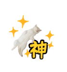 ロイルとニコル（個別スタンプ：38）