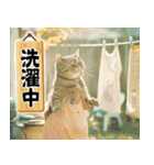 猫ママ 【今、〇〇中】（個別スタンプ：2）