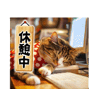 猫ママ 【今、〇〇中】（個別スタンプ：13）