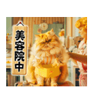 猫ママ 【今、〇〇中】（個別スタンプ：19）