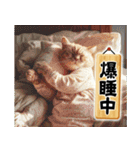 猫ママ 【今、〇〇中】（個別スタンプ：23）