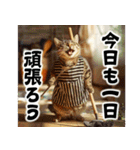 猫ママ 【今、〇〇中】（個別スタンプ：39）