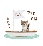 おとなかわいいニャンコのきづかい敬語（個別スタンプ：32）