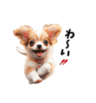 魅力的なチワワの子犬たち（個別スタンプ：21）