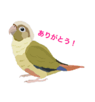 Flap‐Bird（個別スタンプ：6）