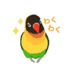 Flap‐Bird（個別スタンプ：10）