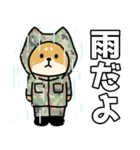 陸上自衛隊・かわいい柴犬三曹スタンプ2（個別スタンプ：39）