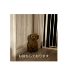といちゃまスタンプ（個別スタンプ：5）