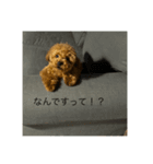 といちゃまスタンプ（個別スタンプ：6）