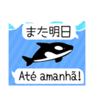 ポルトガル語と日本語/Português/ペンギン（個別スタンプ：33）