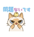 やさしいフォローねこちゃん（個別スタンプ：5）