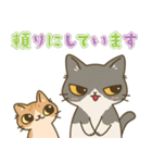 やさしいフォローねこちゃん（個別スタンプ：34）