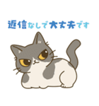 やさしいフォローねこちゃん（個別スタンプ：39）