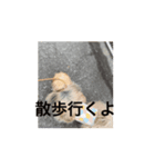 動く豆粒隊（個別スタンプ：2）