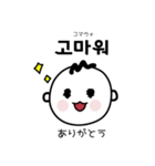韓国人が毎日使う韓国語スタンプ（個別スタンプ：33）