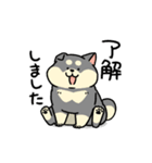 柴犬むち【黒柴多め】（個別スタンプ：9）