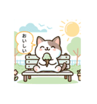 猫のゆるかわスタンプ夏バージョン（個別スタンプ：3）