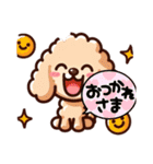 癒しプードルはっぴーのLINEスタンプ（個別スタンプ：2）