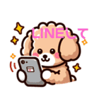 癒しプードルはっぴーのLINEスタンプ（個別スタンプ：4）