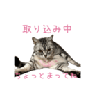 よもちゃんの（個別スタンプ：2）