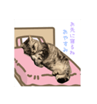 よもちゃんの（個別スタンプ：4）